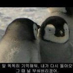 [댓글부탁해] 너넨 입에 하얀거 나는거 어디가 제일 ㅈ같음?