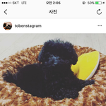 [EXO] 아는척,,사1<b>생인</b>척,,모든걸다아는척,,오프뛰는척,,