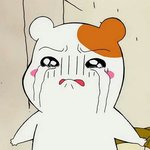 나 조카 <b>호구</b>등신같다
