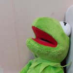 [드루와] 동네길고양이랑 한바탕 뛰고옴 ㅅㅂ힘들어