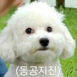 역시 <b>sns</b>은 나쁜거양