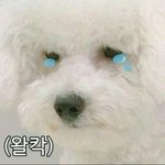 [EXO] 아 똥싸거<b>시포</b>