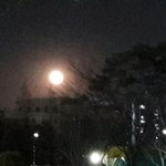 ㅁㅊ 지금 달