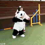 코<b>조각</b>주사 어때?