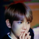 [EXO] ㅅㅂ 변백현 <b>모찌</b>하네