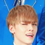 [세븐틴] ㅅㄷ 진짜 요즘