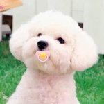[EXO] 멤버까지말고 <b>세호</b>니 축하해조