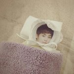 [시우민] <b>태초</b>에 인형이 만들어지기 전에 시우민팬들의 유흥거리가...