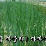 이런 ㅆ불알 개같은 메갈련들...