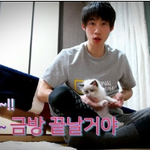[고양이] 고양이 아플까봐 ㅎㄷㄷ 떨리네요..