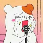 [EXO] 엑소대상받을때 처음으로 썩수때 <b>개울</b>었다