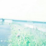 근데 <b>가난</b>하다는 기준이 뭘까