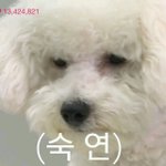 [남자의심리] 남사친?<b>이랑</b> 톡하는데...