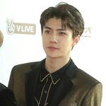 [세훈] 170114 골든디스크 레드카펫 기사사진