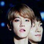 [EXO] 백현 <b>플뷰</b>