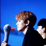 [백현] 백현이 오리<b>or</b>거위인형 분양받음? ㅋㅋㅋㅋ