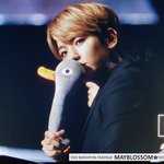[EXO] ㅅㅂ이새끼 <b>오리</b> 아니야