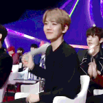 [백현] 오늘 백혀<b>니손</b>에서 영원히 고통받을 골디오리