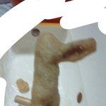 [EXO] ㄹㅇ백현이가 들고있던 <b>오리</b>안마기(?)닮아서