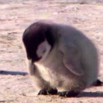 [EXO] 야 <b>이번년</b>도도 작년보다 더빛나는 <b>년</b>보내자