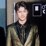 [세훈] 170114 골든디스크 <b>레드카</b>펫 프리뷰5