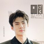 [세훈] 170114 골든디스크 <b>레드카</b>펫 프리뷰6