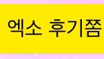 [EXO] 나 타팬친구한테 후기물어본년인데