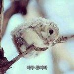 [댓글부탁해] 야나학원<b>첨가</b>거든