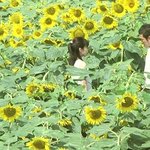 [드루와] 인생영화추천해줄게!!2❤