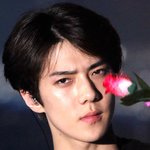 [EXO] <b>여보</b>. <b>여보</b>한테 줄 장미꽃 사왔어