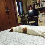 주인의 변태같은 <b>취미</b>생활
