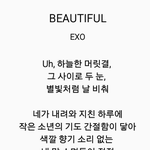 [EXO] 야 <b>뷰티풀</b>이 ㄹㅇ이지