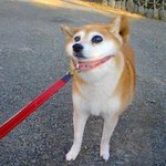 [EXO] 이거 <b>뽀샵</b>한거야?