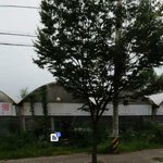 <b>어떤집</b> 개들이 고양이를 물어 다 죽였습니다.