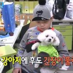 애견샵 <b>사지</b>마세요 동물보호소 입양해주세요
