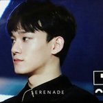 [CHEN] 종대 골디 <b>퓨</b>4