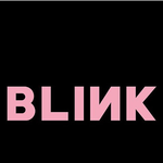 [드루와] 블랙핑크 팬덤명 이쁘다