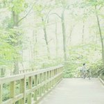 심즈 템 <b>충돌</b> 개빡치지 않냐