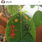 [댓글부탁해] 설리<b>식물</b>2