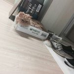 [댓글부탁해] 생리대 오랫동안 안갈면 <b>가루</b>되지않냐