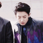 [EXO] 개썅냉미남 박찬열 보고가라 ㅈㅂ 줫나 <b>발림</b>