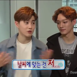 [EXO] 토푸한 준면이
