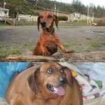 [댓글부탁해] <b>바이브</b>사고싶다