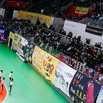 [EXO] ㅅㅂ 아6대 욕나오게 하지마라
