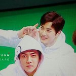 [EXO] 아닠ㅋㅋㄱ솔직하게