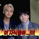 [세븐틴] 세븐틴 반성해라