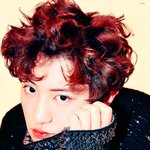[EXO] ㅈㄴ이쁨 <b>내</b><b>취향</b>