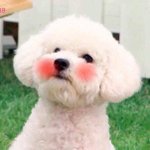 [EXO] 나 짝남이랑 진짜 어색하고 그랬음