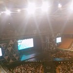 [세븐틴] 캐럿들 나 도와줘