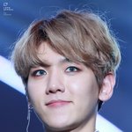 [EXO] 진짜 변백현 보면서 신기한게
